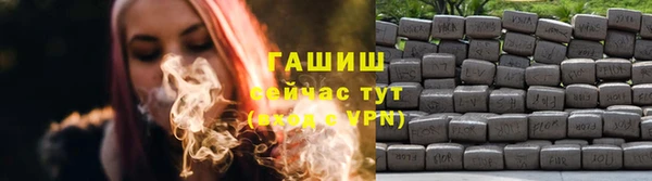 ешки Новодвинск