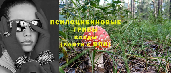 метадон Нея