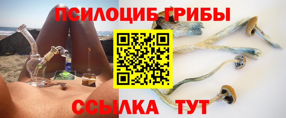 Псилоцибиновые грибы Psilocybe  Вход с VPN  Евпатория 